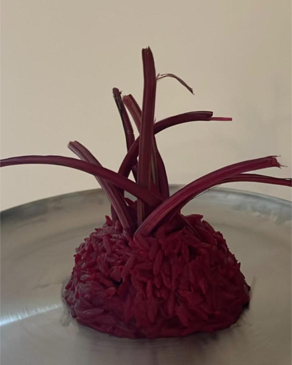 TikTok chef Brianna Hollingsworth makes you want to eat the runway